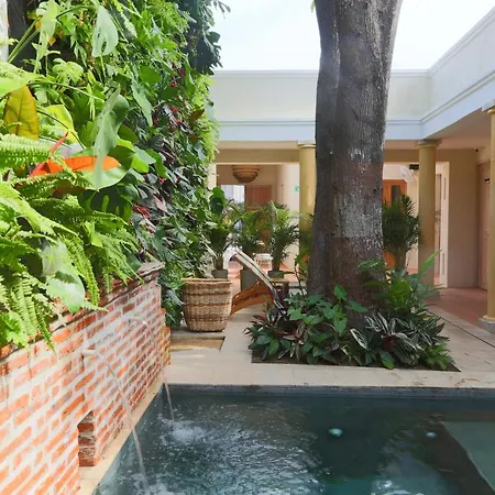 Casa Jaguar Hotel Boutique-2